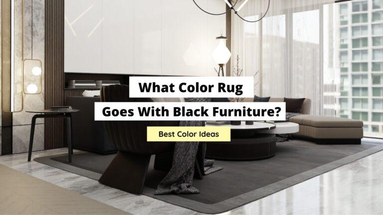What Color Rug Goes With Black Furniture? (Top Colors)