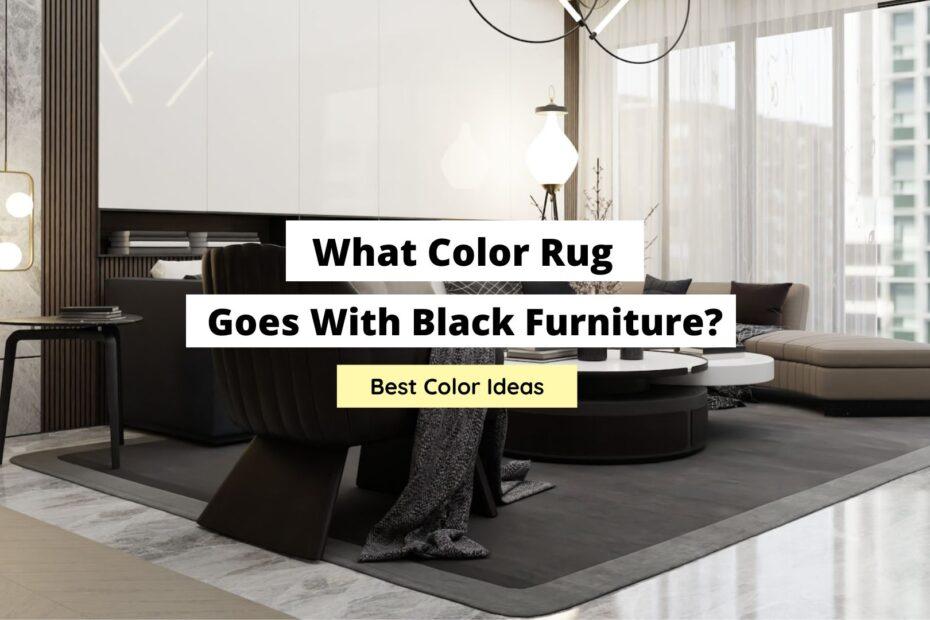 What Color Rug Goes With Black Furniture Top Colors Craftsonfire