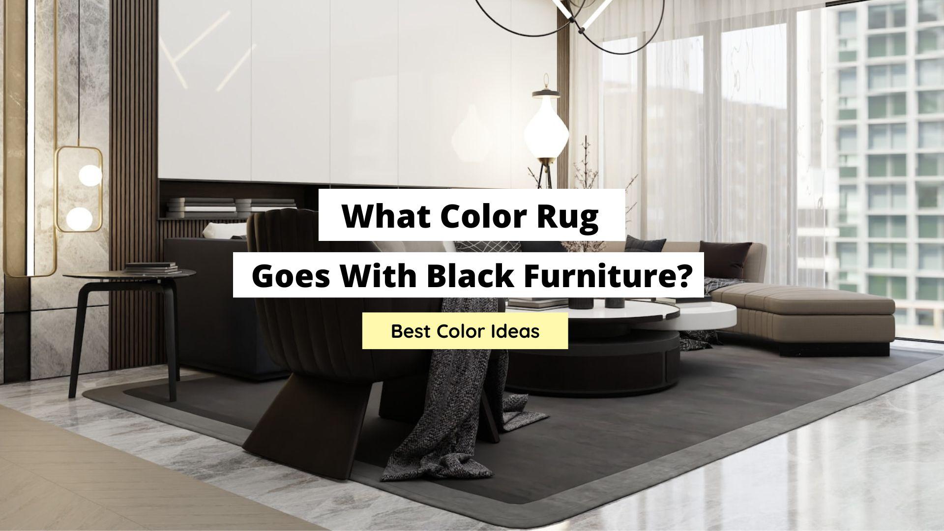 What Color Rug Goes With Black Furniture