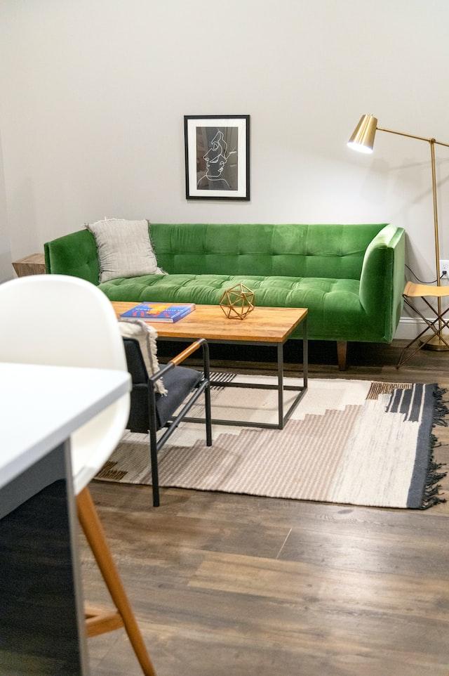 patterned rug for green couch