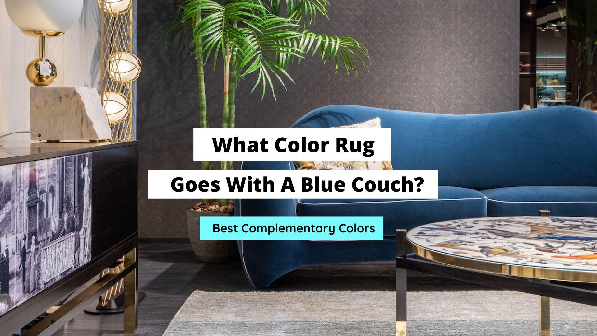 15 Beautiful Rugs That Go With Blue Couches - Décor Aid