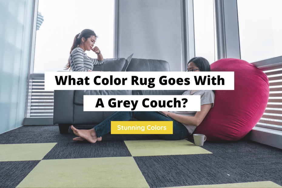 what-color-rug-goes-with-a-grey-couch-10-stunning-options