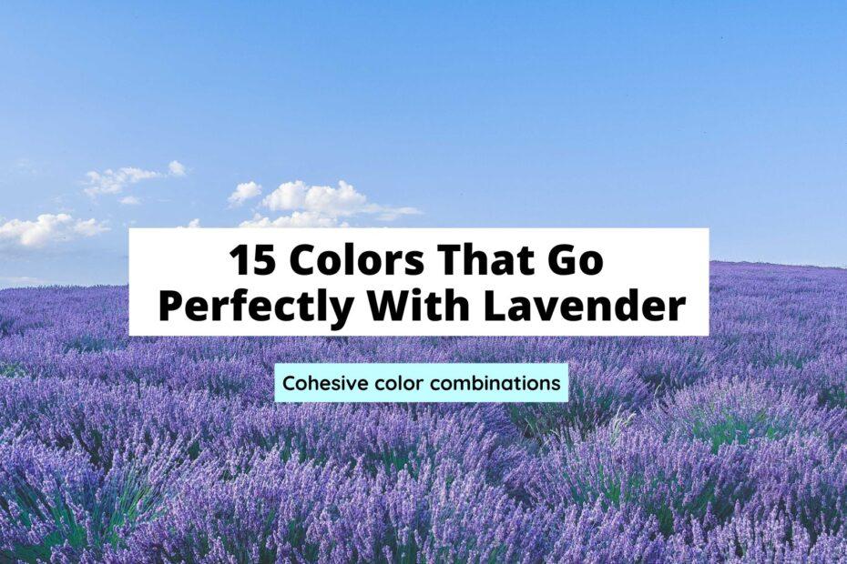 15-colors-that-go-perfectly-with-lavender-craftsonfire