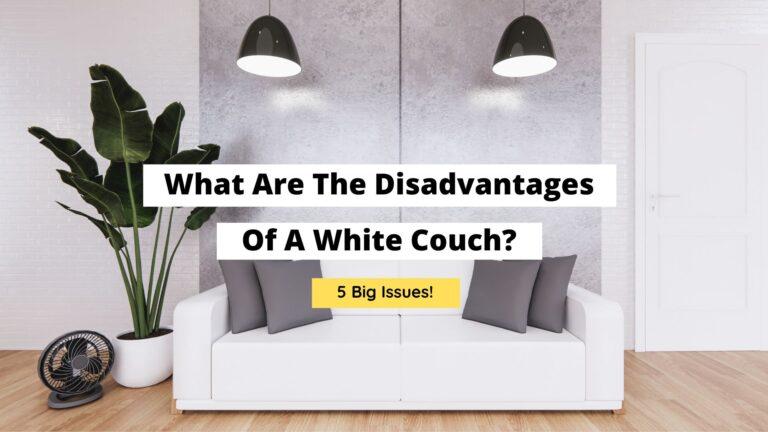 What Are The Disadvantages Of A White Couch? (5 Cons!)