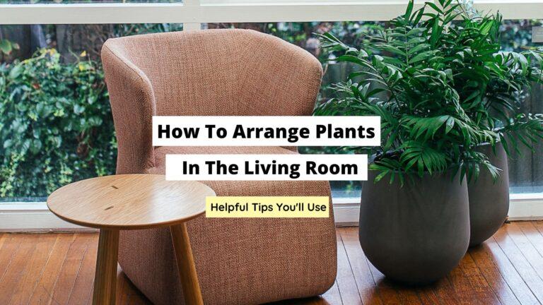 How To Arrange Plants In The Living Room