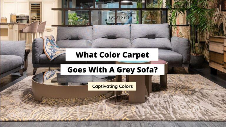 What Color Carpet Goes With A Grey Sofa? (Finest Colors)