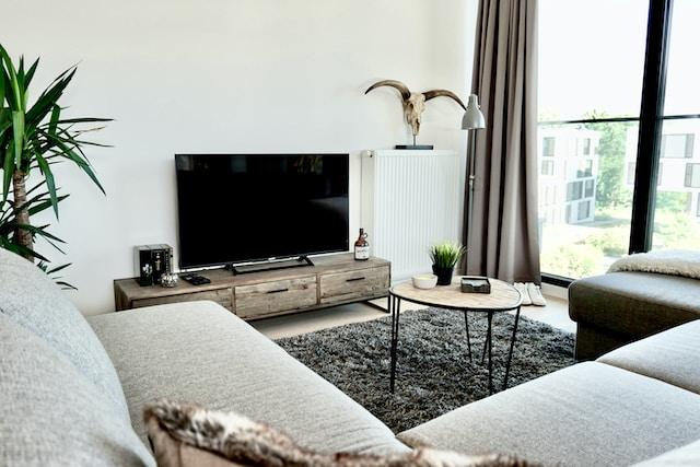 best carpet colors for grey sofa