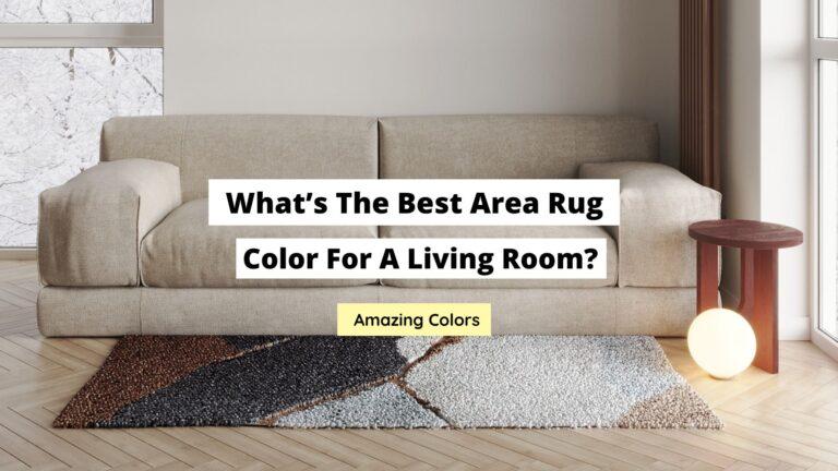 The #1 Best Area Rug Color For A Living Room