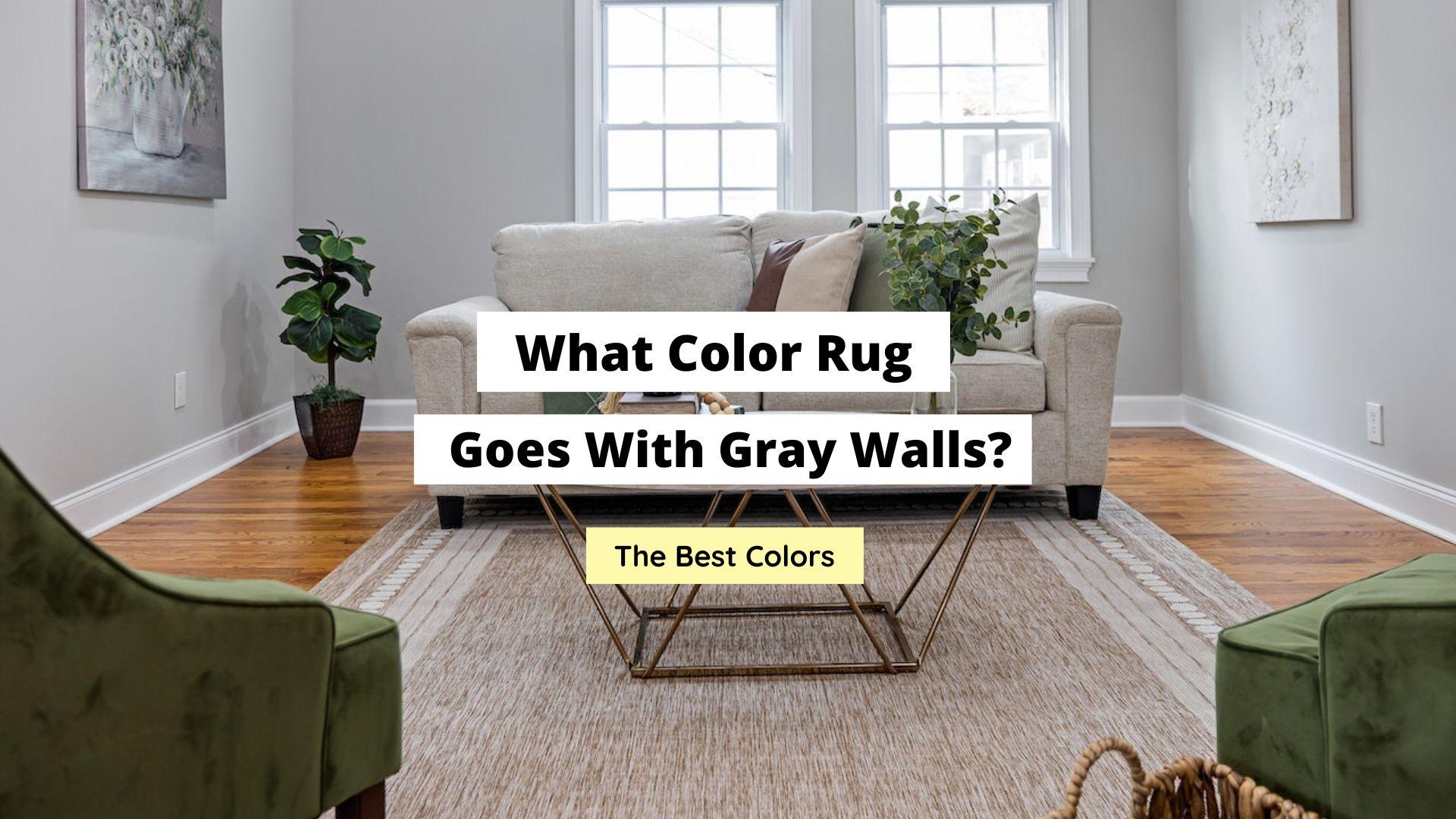 What Color Rug Goes With Gray Walls