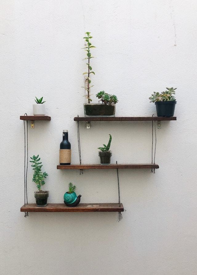 using floating shelf for plants