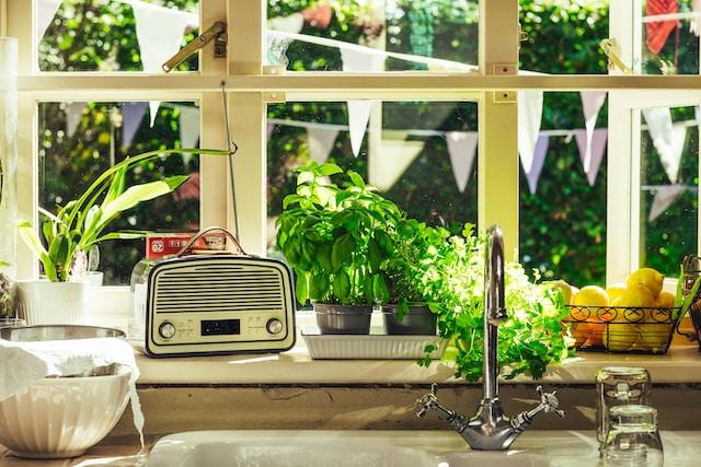 kitchen herb garden ideas